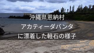 アカティーダバンタ周辺海岸に漂着した軽石