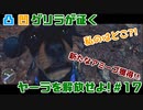 【FARCRY6】凸凹ゲリラが征くヤーラを解放せよ!#17【LgLp】