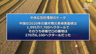 食糧危機が現実に？ 中国共産党がまたもや食糧節約を推奨