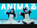 【ぽんちゃん×なるせ】ANIMAる　踊ってみた