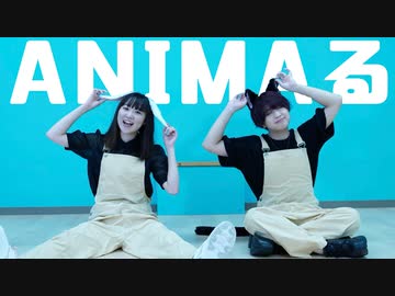 【ぽんちゃん×なるせ】ANIMAる　踊ってみた