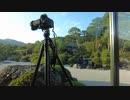 凄過ぎる豪邸の庭を、部屋から撮影。の作業風景