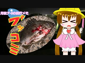 月読アイの釣行メモ part11【VOICEROIDフィッシング】