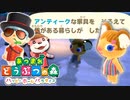 【あつまれ どうぶつの森 ハッピーホームパラダイス実況】別荘？？OK！任せて！！part9