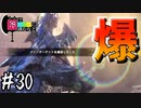 【MHWI】#30 人工大自然の鉄槌(岩)【ゆっくり実況】