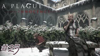 いや視野狭すぎだろ#25【A Plague Tale: Innocence】