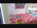 【沼嵌る】リサイクルショップで御宝発掘の筈が....