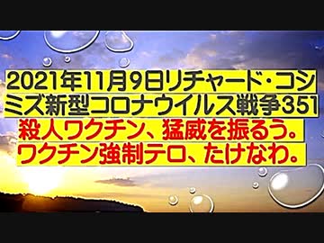 【2021年11月09日：リチャード・コシミズ  Internet 講演（ 改良版 ）】
