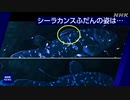 “生きた化石”シーラカンスのふだんの姿 約30分間撮影に成功