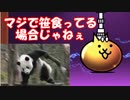 【にゃんこ】鬼にゃんの本能解放の為のガチャでまさか‼