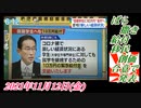 2-3 ばら撒き給付、移民創価合意で発表。菜々子の独り言。2021年11月12日(金)