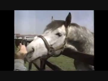 クリークと見る イナリワンとオグリキャップ