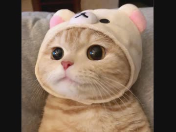 立ち上がれ