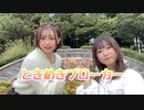 【おひるにたるとどうですか】ときめきブローカー 踊ってみた