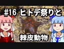 【琴葉姉妹の磯遊び】#16ヒトデ祭りと棘皮動物【VOICEROID解説】