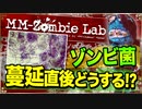 【ゾンビ】ゾンビウィルス蔓延直後の日本で生き残る方法の考察【MM-Zombie Lab(エムエムゾンビラブ) #11】
