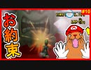常連の敵キャラドッスンにやっぱり妨害されました【マリオカートWii　#10】