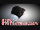 ありがとう…何でもするって言ったよね?///
