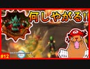 大魔王クッパの妨害回。火の玉に溶岩に悪質な幅寄せ、少しは手加減してくれ【マリオカートWii　#12】