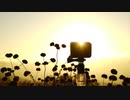 YouTubeより藤江さんの涙は、ニコニコ視聴者に届いてますよ。許せない！政府…メディア…許せない！茶番劇コロナ！！若者の命を……なんでこんな風に！皆さん立ち上がりましょう。　皆さんの意見書いて！