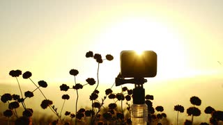 YouTubeより藤江さんの涙は、ニコニコ視聴者に届いてますよ。許せない！政府…メディア…許せない！茶番劇コロナ！！若者の命を……なんでこんな風に！皆さん立ち上がりましょう。　皆さんの意見書いて！