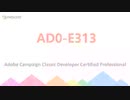 Adobe Campaign Classic Developer AD0-E313 Real Questions