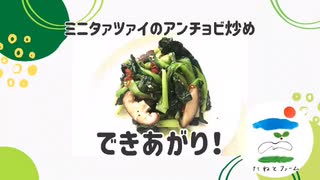 ＊Y’s Cooking ＊ ミニタァツァイのアンチョビ炒め