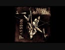 Anaal Nathrakh - Passion