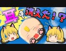 【ゆっくり茶番】ちびまり猫の耳が無くなってしまった！