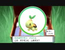 戦闘！野生のポケモン【ポケモンBDSP】