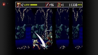 Theスーパー忍II　HARDEST・術無し・ノーデス