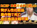 ゆっくり雑談 438回目(2021/11/13) 1989年6月4日は天安門事件の日 済州島四・三事件 保導連盟事件 ライダイハン コピノ コレコレア