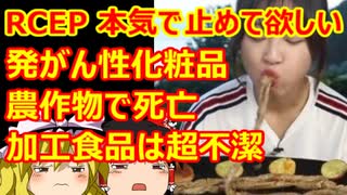 ゆっくり雑談 438回目(2021/11/13) 1989年6月4日は天安門事件の日 済州島四・三事件 保導連盟事件 ライダイハン コピノ コレコレア