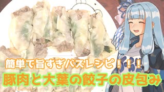 限界葵キッチン　あの有名YouTuberも認めた餃子の皮を使った簡単バズレシピ！【VOICEROIDキッチン】