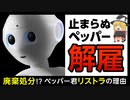 【ペッパー君】閲覧注意？相次ぐPepper派遣切りの真相【ゆっくり解説】