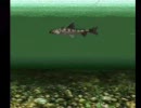 PS　川のぬし釣り　プレイ動画11　【鮎】