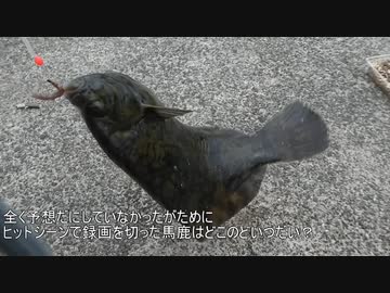 のんびり釣りキャンプ～つどいの館キャンプ場編～