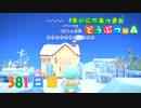 【実況】まいにち あつまれ どうぶつの森381日目