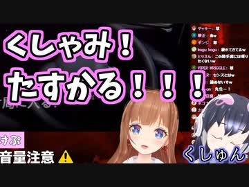 ケープちゃんのくしゃみに大興奮のちえりちゃん(おまけ付き)【切り抜き】