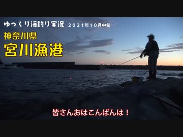 宮川漁港　カイズ狙い不発に終わる【2021年10月中旬】