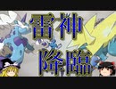 【ポケモンORAS】エレキフィールド電気技で全てを倒すトリプルバトル【ゆっくり実況】