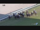 2021年　エリザベス女王杯
