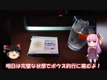 琴葉姉妹と行く釣行記録（海釣り編part18）