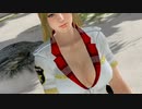 【DoaX3】  グラビアパラダイスランダム/111421
