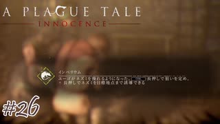 ん?どういうことだ?#26【A Plague Tale: Innocence】