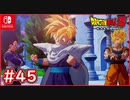 【DBZ #45】孫悟空と孫悟飯！精神と時の部屋での修行の仕上げ！【ドラゴンボールZカカロット】【スイッチ版】
