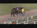 高知ケーブルテレビ株式会社協賛 第10回土佐秋月賞 パドック～本馬場入場