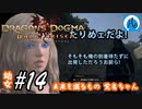 【ドラゴンズドグマ】幼女#14　未来を識るもの 覚者ちゃん【DDDA】【ならはや】