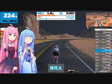 頑張って１００マイル走りたい＿11マイル