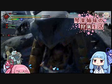琴葉姉妹の狩猟生活 ～カムラの里～ 14日目